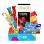 Housewarming Lindt Premium Chocolate Gift Box Hamper - Fun Size