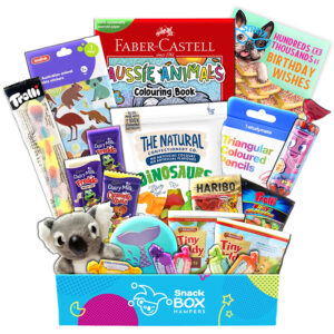 Birthday Children's Animal Activity Box Gift Hamper - Medium