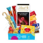 Nurse Lindt Premium Chocolate Gift Hamper - Fun Size