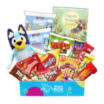 Get Well Soon Bluey Box Gift Hamper - Medium