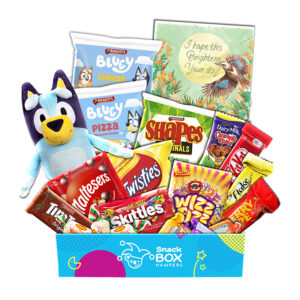 Get Well Soon Bluey Box Gift Hamper - Medium