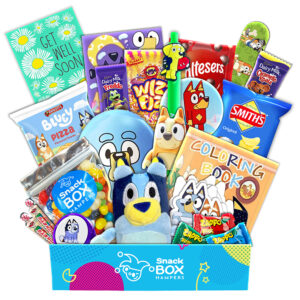 Get Well Soon Bluey Gift Basket - Small