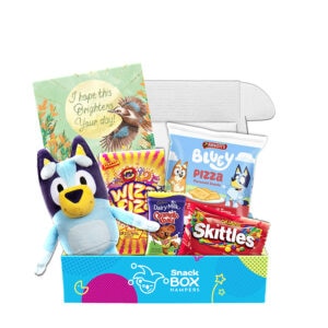 Get Well Soon Bluey Box Gift Hamper - Small
