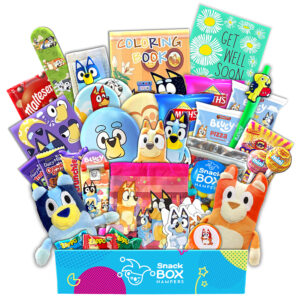 Get Well Soon Bluey Gift Basket - Large