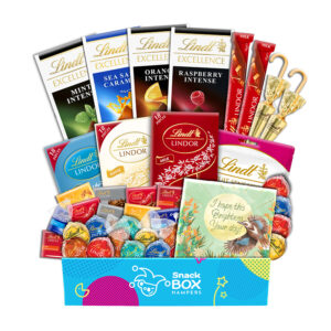 Get Well Soon Lindt Premium Chocolate Gift Hamper - Large