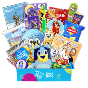 Birthday Bluey Gift Basket - Small