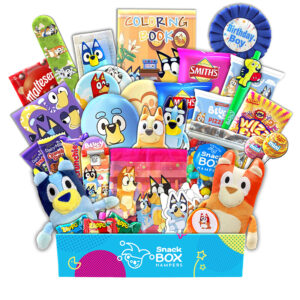 A bluey birthday gift basket for boys
