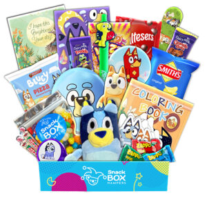Get Well Soon Bluey Gift Basket - Small