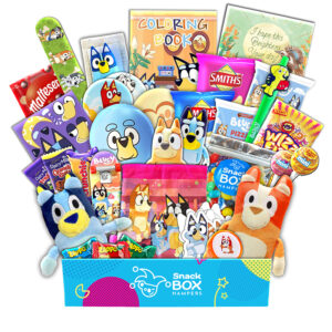 A bluey themed gift basket to send to someone to say get well soon