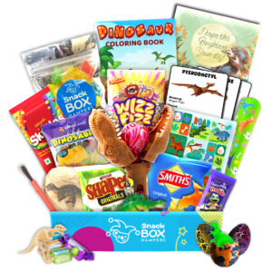 Children’s Get Well Dinosaur Gift - Snack