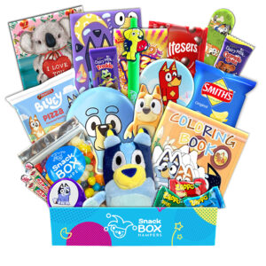 Valentine's Day Bluey Gift Basket - Small