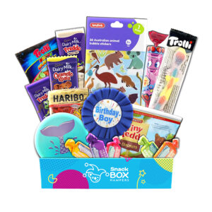Birthday Animal Activity Gift For Kid Boy - Fun Size