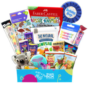 Birthday Animal Activity Gift For Kid Boy – Medium