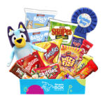 Birthday Bluey Gift Box For Kid Boy - Medium
