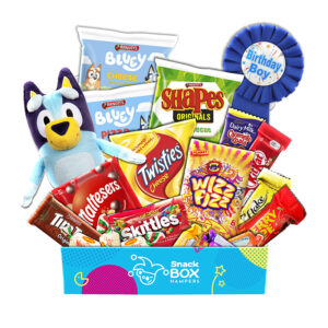 Birthday Bluey Gift Box For Kid Boy - Medium