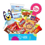 Birthday Bluey Gift Box For Kid Girl – Medium