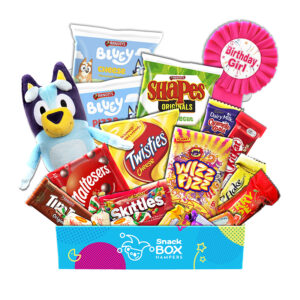 Birthday Bluey Gift Box For Kid Girl – Medium