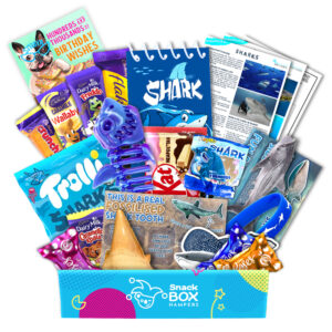 Birthday Shark Gift Box Hamper - Chocolate