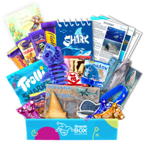 Children’s Get Well Shark Gift - Chocolate