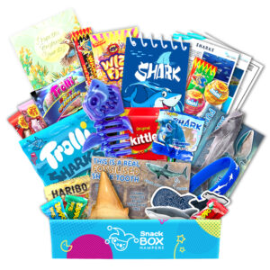Children’s Get Well Shark Gift - Lolly