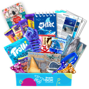 Valentines Shark Gift Box Hamper - Chocolate