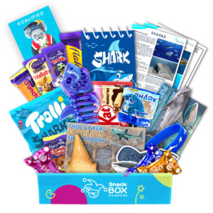 Year 6 Graduation Shark Gift - Chocolate