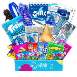 Kids Shark Gift Box Hamper – Gluten Free