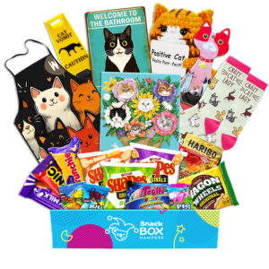 Cat Lovers Snack Box Gift Basket