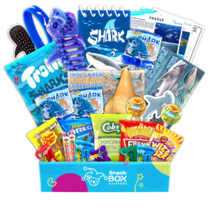 Kids Shark Gift Box Hamper - Vegan