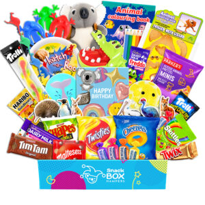 Birthday Kids Animal Activity Box Gift Hamper - Snack