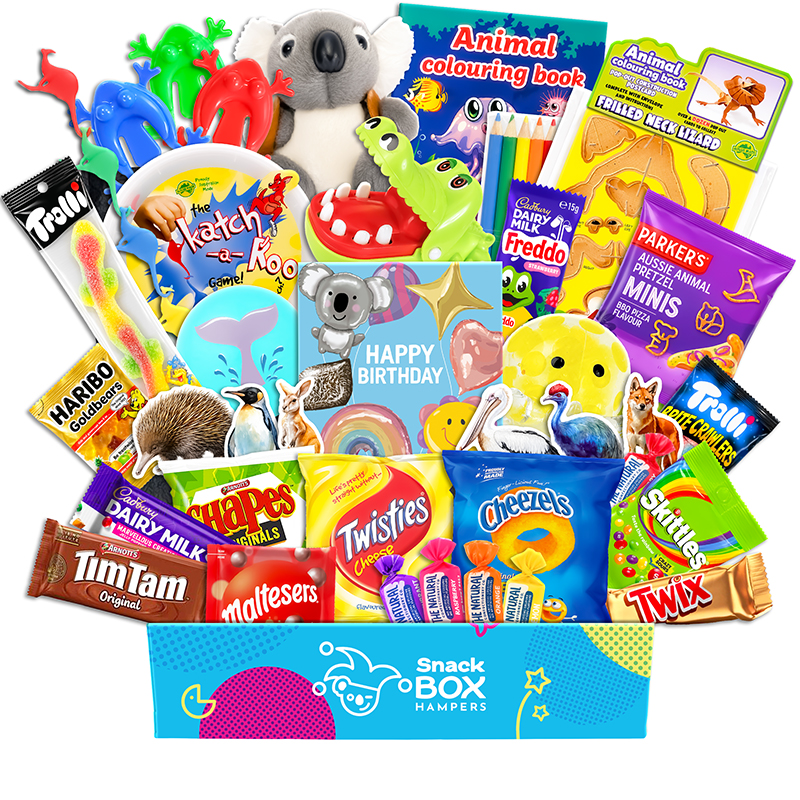 Birthday Kids Animal Activity Gift Box Hamper – Snack