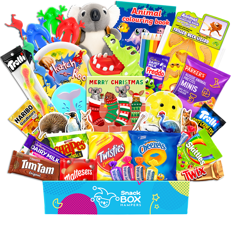 Christmas Kids Animal Activity Gift Box Hamper – Snack