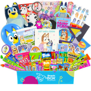 Get Well Soon Bluey Gift Basket Hamper - Lolly