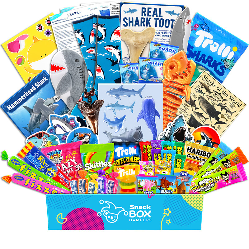 Graduation Kids Shark Gift Box Hamper – Lolly