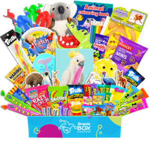 Kids Animal Activity Box Gift Hamper - Gluten Free Lolly