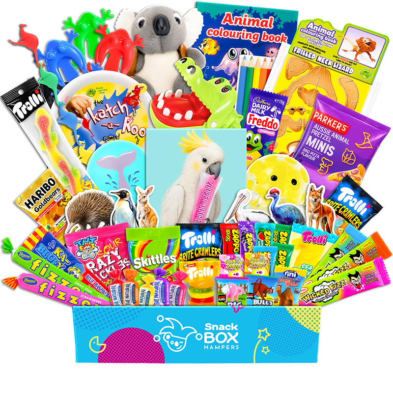Kids Animal Activity Gift Box Hamper – Gluten Free Lolly