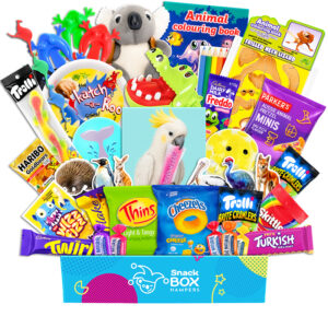 Kids Animal Activity Box Gift Hamper - Gluten Free Snack