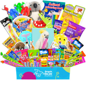 Kids Animal Activity Box Gift Hamper - Lolly