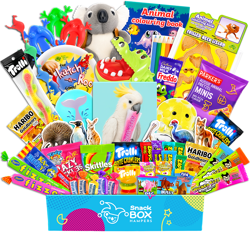 Kids Animal Activity Gift Box Hamper – Lolly