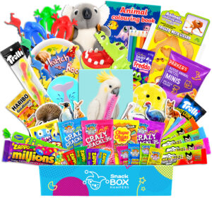 Kids Animal Activity Box Gift Hamper - Vegan Lolly