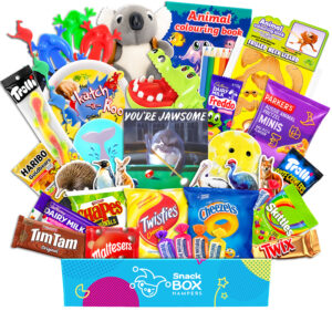 Kids Animal Activity Gift Hamper For Brothers - Snack