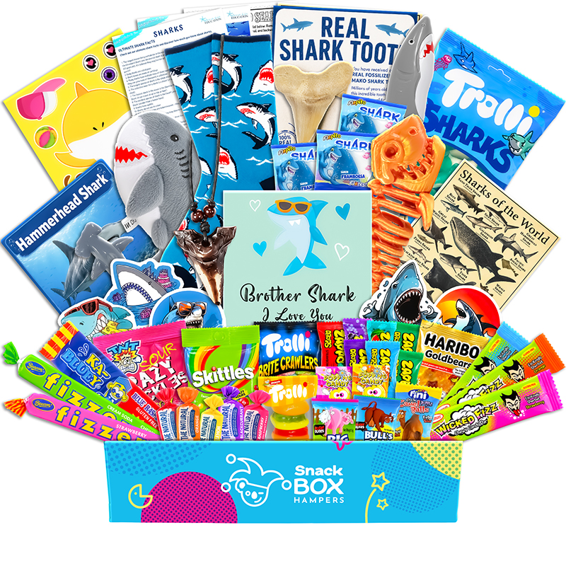 Kids Shark Gift Box Hamper For Brothers – Lolly