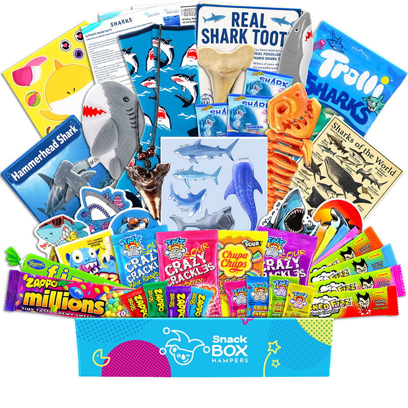 Kids Shark Gift Box Hamper – Vegan Lolly