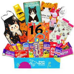 16th Birthday Cat Lovers Chocolate Box Gift Basket