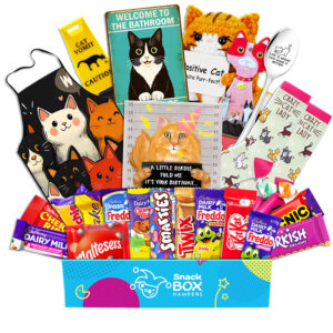 Birthday Cat Lovers Chocolate Box Gift Basket