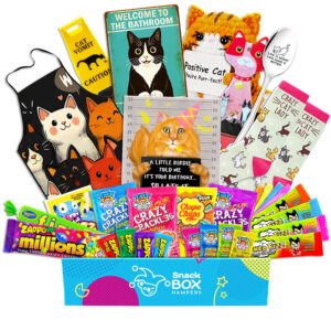 Birthday Cat Lovers Vegan Lolly Gift