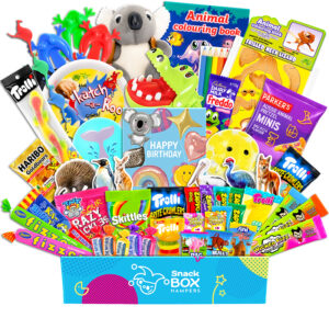 Birthday Kids Animal Activity Gift Hamper – Gluten Free Lolly