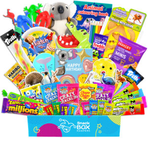 Birthday Kids Animal Activity Gift Hamper – Vegan Lolly