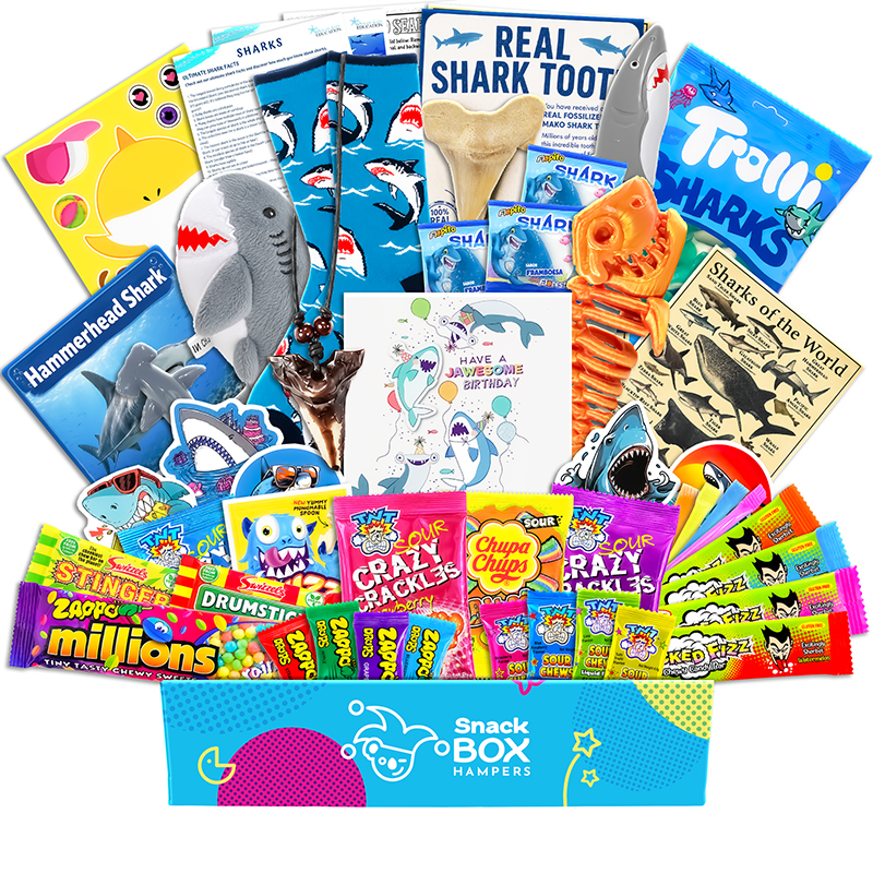 Birthday Kids Shark Gift Hamper – Vegan Lolly
