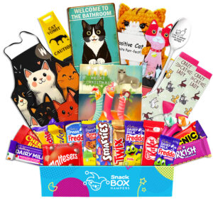 Christmas Cat Lovers Chocolate Box Gift Basket